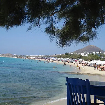 Naxos Island Hotel
